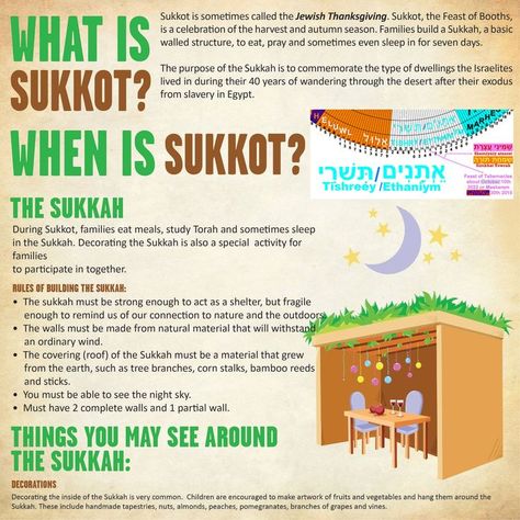 what is Sukkot  Sukkah Booths Tabernacles ♥ Sabbath Calendar, Sukkot Camping, Sukkah Ideas, Sukkot Ideas, Sukkot Activities, Sukkot Crafts, Jewish Holiday Calendar, Sukkot Decorations, Sukkot Recipes