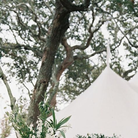 La Fête Planning & Design on Instagram: "The warmest welcome into Jordan + Blake's water-side reception. Lush coastal textures encouraged guests to sit and stay awhile as they and sipped a fresh cocktail soaked in the view. Not quite sure it gets any better than this!!

@acastlephoto
@skylinetentcompany
@wateredgardenflorist
@technicalevent
@thewhiteoakevents
@holdenroth__
@nuagedesignsinc
@stradleydavidson
@eventworksrentals
@crushbyeventworks
@partytables_linensanddrapery
@hlcateringco
@jordannnppp 
@adamgilbertfilms 

#lafete #lafetewedding  #raleighwedding #weddingplanner #dtr #weddings #weddinggoals #weddinginspiration #weddinginspo #weddingdesign #weddingdecor" Coastal Textures, Raleigh Wedding, Floral Event Design, Wedding Goals, The View, Event Design, Wedding Designs, Wedding Inspo, Wedding Planner