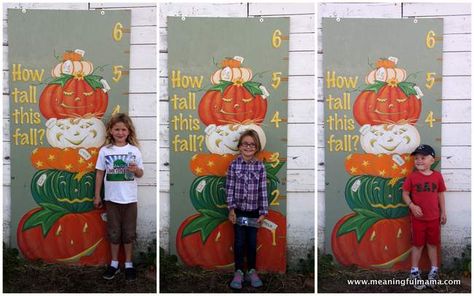 1-pumpkin patch schilter farms growth chart Oct 26, 2014, 9-41 AM Elementary Fall Festival Ideas, Pumpkin Patch Entrance, Fall Festival Maze, Pumpkin Patch Activities Fall Festivals, How Tall This Fall Pumpkin Patch, Farm Market Ideas, Pumpkin Patch Corn Maze, Pumpkin Patch Signs Rustic, Pumpkin Stand