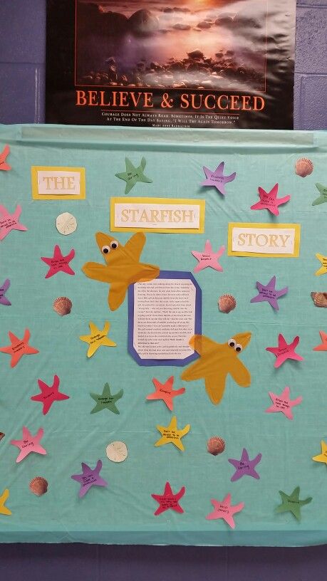 Starfish story bulletin board Starfish Door Decorations Classroom, Starfish Classroom Theme, Starfish Story, Beach Theme Classroom, Part Part Whole, Star Theme, Creation Station, School Social Work, Theme Classroom