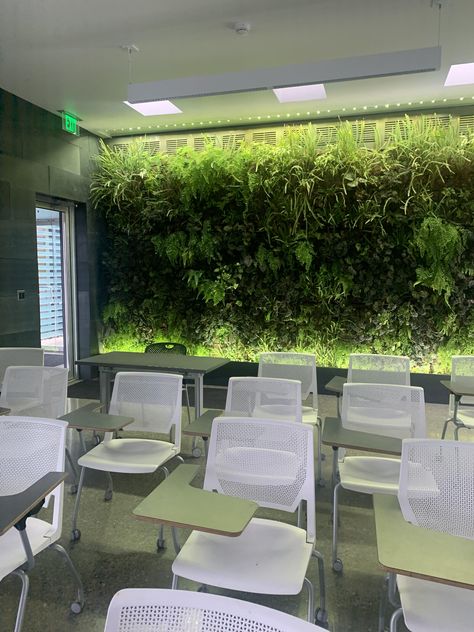 Environmental Science Classroom, Environmental Science Classroom Decor, Biophilic Classroom, Eco Brutalism, Plants On The Wall, Environmental Science Projects, Environmental Science Activities, Environmental Science Major, College Classroom