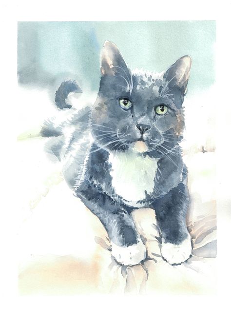 Blue tuxedo cat, watercolor cat portrait Tuxedo Cat Painting, Tabby Cat Painting, Grey Tabby Cat, Atelier Art, Grey Tabby, Blue Tuxedo, Cat Art Illustration, Watercolor Pet Portraits, Cat Model