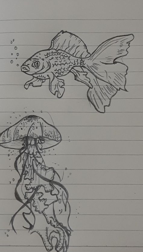 Beautiful Fish Drawing, Aquarium Fish Drawing, Jelly Fish Drawing Sketches Easy, Jelly Fish Drawing Aesthetic, Fish Sketch Simple, Jelly Fish Drawing Sketches, Jelly Fish Drawing Easy, Aquatic Animals Drawing, Aquarium Sketch