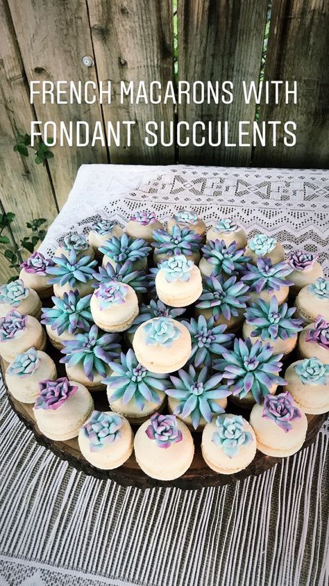 Succulent Macarons, Chocolate Petit Fours, Fondant Succulents, Bakery Items, French Macarons, Cookie Ideas, Food Inspo, 16th Birthday, Macaroons