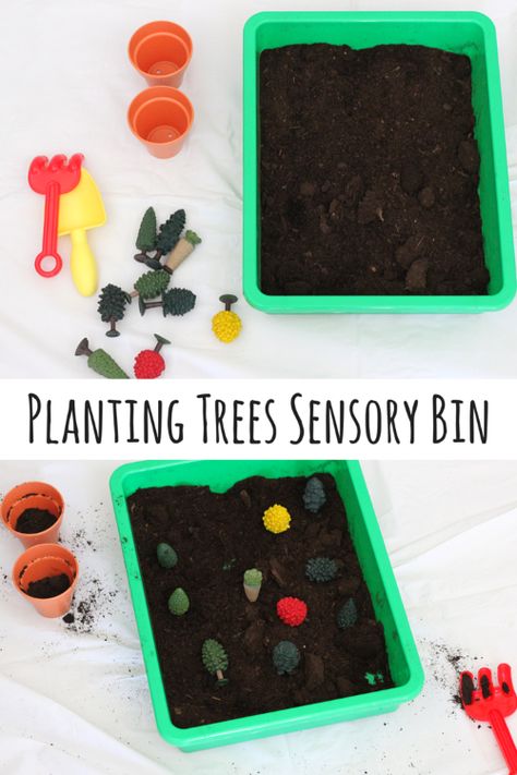 Planting Trees Sensory Bin. This is a great activity for Earth Day or Arbor Day! Trees Sensory Bin, Environment Crafts, Earth Week, Plants Unit, Arbor Day, Tree Day, Planting Trees, Tree Study, Earth Day Crafts