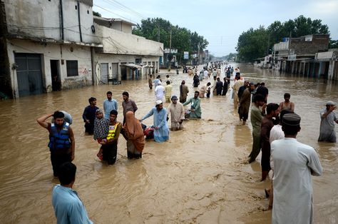 Why Are Pakistan's Floods So Extreme This Year? - Scientific American Pakistan Armed Forces, Monsoon Rain, Khyber Pakhtunkhwa, Armed Forces, Pollution, New World, Melbourne, Pakistan, Thing 1