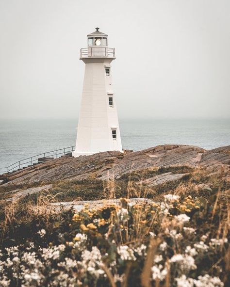 PixelPlay Prints on Instagram: "One of the many beautiful lighthouses in Newfoundland, Canada 🇨🇦 . Available as a print, shop via link in bio. . . . . #wallartdecor #prints #homedecor #kitchenwalldecor #livingroomwallart #photographyprints #kitchendecor #bedroomdecor #giftideas #wandermore #canadianlandscape #coastaldecor #coastalhome #coastalfarmhouse #wanderlust #beachvibes #beachhouse #beachdecor #landscapephotography #travellover #newfoundland #newfoundlandcanada #travelphotography #travel New England Photography, Newfoundland Lighthouses, Newfoundland Aesthetic, Newfoundland Landscape, Newfoundland Photography, Newfoundland Travel, Nautical Aesthetic, East Coast Beaches, England Aesthetic