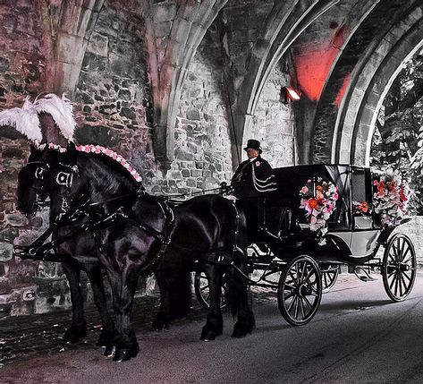 Black Horse Carriage, Horse And Carriage Wedding, Dark Academia Wedding, Wedding Nightmare, Carriage Horse, Dream Dark, Horse Cart, Horse Drawn Carriage, Wedding Carriage