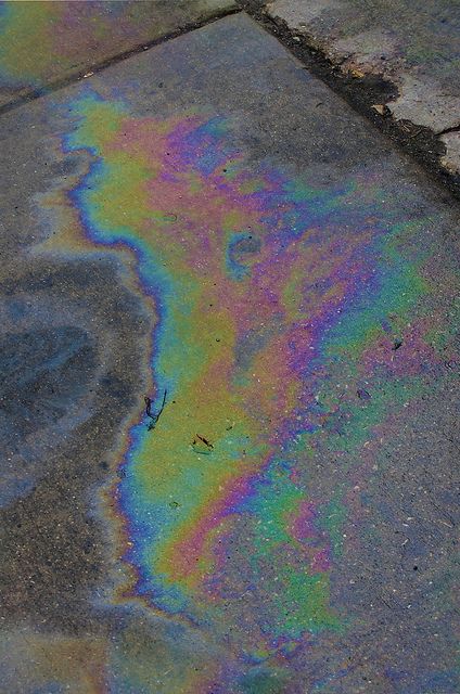 Oil Spillage, Plants Are Friends, Oil Spill, Rainbow Aesthetic, Oil Slick, Seasonal Garden, Oil Water, Oil Stains, Aesthetic Photo