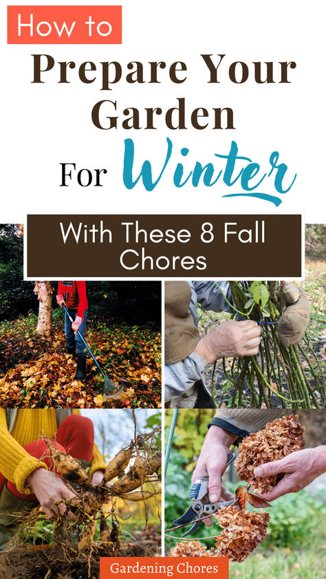 Fall Garden Chores, Prepare your Garden for Winter Garden Planing, Garden Prepping, Vegetable Garden For Beginners, Orchids Garden, Thriving Garden, Covered Garden, Plant Protection, Garden Maintenance, Fall Garden