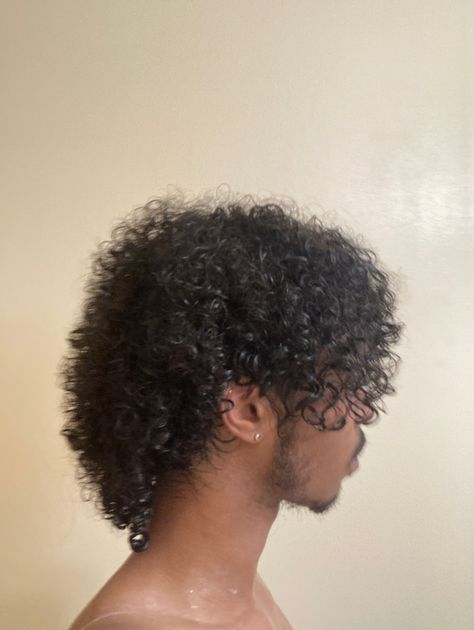 Afro Mullet, Mullet Shag, Long Curly Hair Men, Afro Hairstyles Men, Goals 2024, Braid Styles For Men, Armadura Cosplay, 4b Hair, Curly Mullet