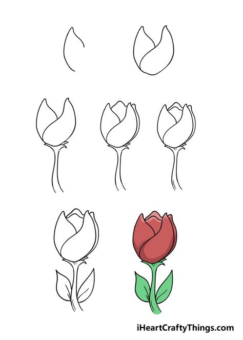 Tulip Drawing - How To Draw A Tulip Step By Step Draw A Tulip, Expensive Art Supplies, Tulip Drawing, Drawing Ideas Easy, Most Popular Flowers, Eyes Drawing, Master Drawing, Shading Techniques, Logo Project