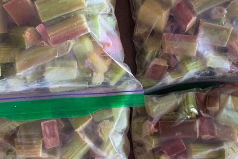 How to Freeze Rhubarb at Home How To Use Frozen Rhubarb, Rhubarb Freezing, Freezing Rhubarb, Rhubarb Leaves Uses, Winterizing Rhubarb, Freeze Rhubarb, Rhubarb Sauce, Rhubarb Jam, Perennial Vegetables