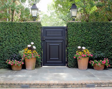 D Summer Color Side Yard Gate, Short Fence, Yard Privacy, Yard Gate, Idea Bedroom, Easy Fence, Green Fence, Metal Gate, Brick Fence