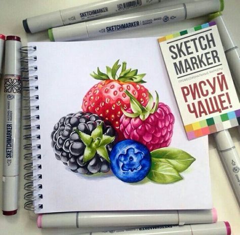 Realistic Copic Marker Drawings, Realistic Marker Drawing, Drawing Ideas Food, Drawing Ideas Pencil, Copic Drawings, Markers Drawing Ideas, Copic Marker Art, Sweet Drawings, Prismacolor Art