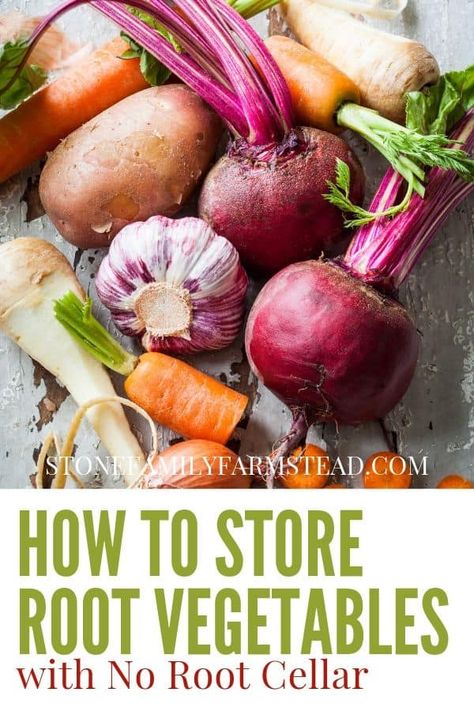 Storing Root Vegetables, Potato Storage, Winter Veggies, Storing Vegetables, How To Store Potatoes, Roasted Fennel, Root Cellar, Root Veggies, Roasted Root Vegetables