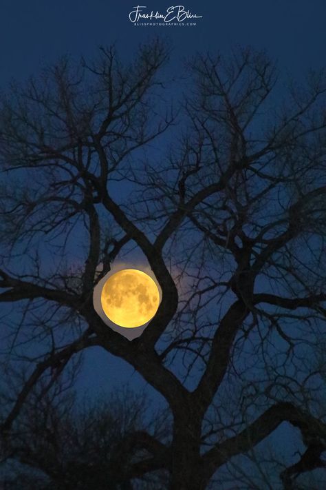 Telephoto work in Twilight. Only expose the hightlghts correctly. I wouldn’t print this much over 24 high as it might be grainy much larger. Your call.. Southwest Wallpaper, Ranch Wyoming, Moon Madness, Blue Silhouette, Moon Shine, Mystical Moon, Goodnight Moon, Big Moon, Moonlit Sky