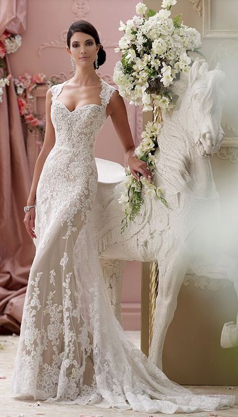 Wedding Dresses Fit And Flare, Wedding Dresses Fit, Tight Wedding Dress, Simple Lace Wedding Dress, Lace Wedding Gown, Tulle Wedding Gown, David Tutera, Aline Wedding Dress, 2015 Wedding Dresses