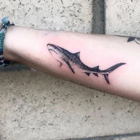 Blacktip Reef Shark Tattoo, Feminine Shark Tattoo For Women, Black Tip Reef Shark Tattoo, Reef Shark Tattoo, Tiger Shark Tattoo, Marine Tattoos, Sea Life Tattoos, Neat Tattoos, Marine Tattoo