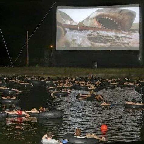 How to watch a Jaws Movie 🎬🦈 Disturbing Photos, Jaws Movie, Funny Tumblr Posts, Happy 4th Of July, Happy 4 Of July, Free Sites, Funny Games, Tumblr Posts, Tumblr Funny