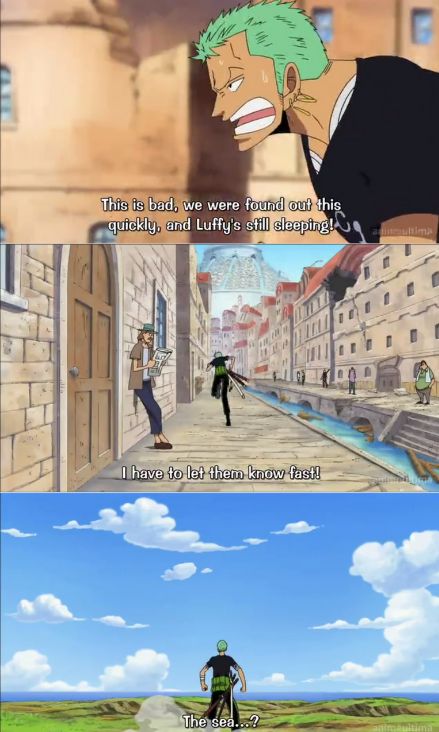 Zoro Lost In Water 7 Zoro Lost Memes, Leaders Aesthetic, Zoro Getting Lost, Zoro Lost, Funny Graduation Pictures, Lost Memes, Graduation Funny, Anime Meme, Roronoa Zoro