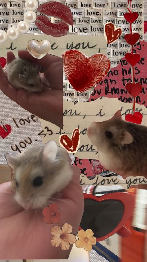 #hamster #love #collage Iphone Wallpaper Water, Hamster Wallpaper, Hamster Pics, Funny Stickman, Cute Hamster, Funny Hamsters, Love Collage, Hamster Cage, Sunflower Wallpaper