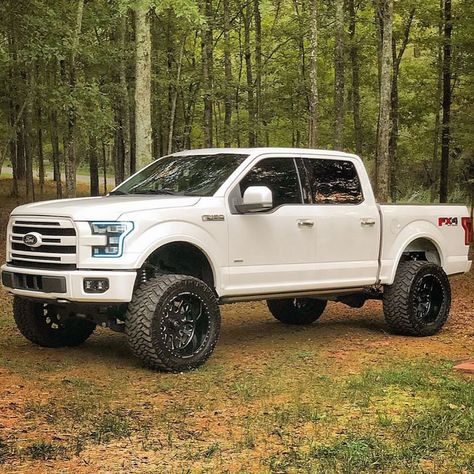 2015 Ford F150 equipped with a Fabtech 6" Lift Kit Ford F150 Lifted, F150 Lifted, Ford F150 Custom, Ford F150 Fx4, Diesel Pickup Trucks, 2018 Ford F150, Chevy 4x4, 2015 Ford F150, Ford Trucks F150