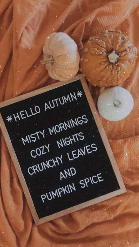 Amycore Aesthetic, Retro Fall Aesthetic, Girly Fall Aesthetic, Aesthetic Fall Quotes, Fall Pinterest Board, Early Fall Aesthetic, Fall Aethestic, Cozy Fall Aesthetic Wallpaper, Fall Asthetic Photos