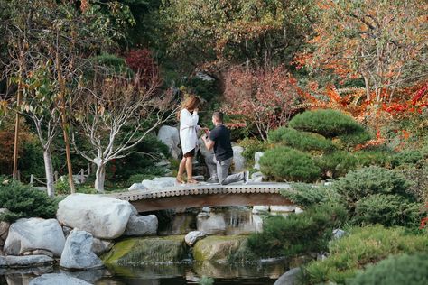 San Diego Japanese Friendship Garden Engagement Proposal Photos Garden Proposal, Engagement Proposal Photos, San Diego Courthouse, Garden Engagement, San Diego Engagement, Proposal Photos, Engagement Proposal, Couples Engagement Photos, Courthouse Wedding