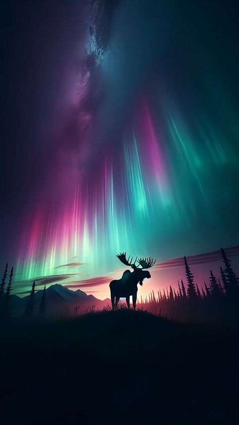 Moose Wallpaper, Aurora Borealis Tattoo, Northern Lights Tattoo, Northern Lights Wallpaper, Moose Pictures, Moose Silhouette, Winter Art Lesson, Lights Wallpaper, Mountain Silhouette