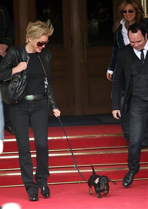 Sharon Stone Dogs Daschund, Walking A Dog, Celebrity Dogs, Dachshund Funny, Doxie Dogs, Woman Walking, Weenie Dogs, Mini Dachshund, Sharon Stone