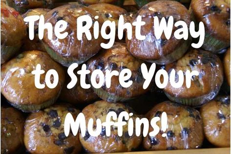 How To Store Muffins, Muffin Storage, Baking Nook, Costco Muffins, Freeze Muffins, Cookie Storage, Muffin Bread, Bread Storage, Homemade Muffins