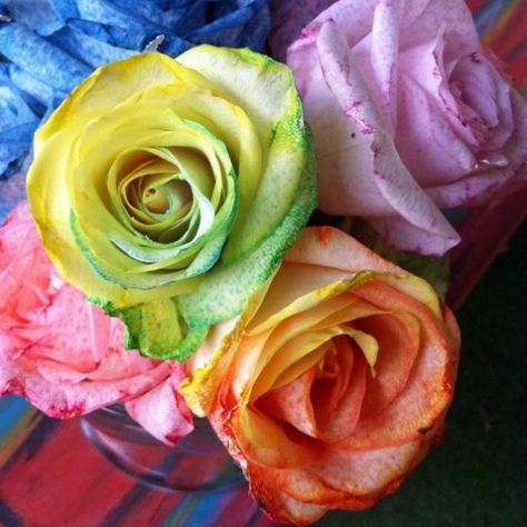 How to: Make Tie-Dye Dye Roses, Tulip Tie Dye, Roses Tutorial, Tie Dye Roses, Construction Paper Crafts, Christmas Crafts To Sell, Tie Dye Kit, Diy Wedding Backdrop, Rose Tutorial