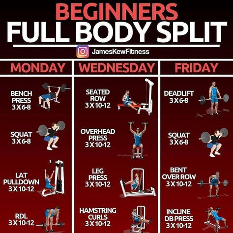 3 Day Full Body Split, Full Body Split, 3 Day Workout, Best Full Body Workout, Full Body Workout Plan, Workout Splits, Different Exercises, Body Workout Plan, Workout Plan Gym