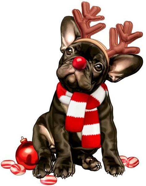 Christmas Dog Treats Homemade, Christmas Dog Cookies, Homemade Christmas Dog Treats, Christmas Dog Cartoon, Dog Captions, Christmas Dog Treats, French Bulldog Breed, Christmas Dog Outfits, French Bulldog Art