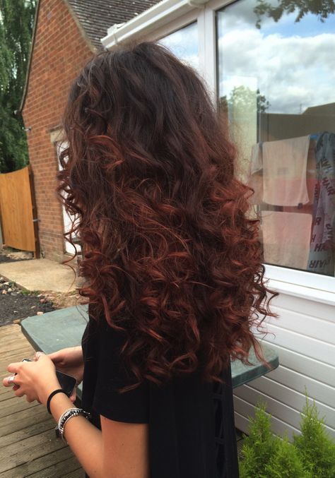 Dark Copper Red Hair Color Curly, Red Ends On Brown Hair Curly, Red Hair Underneath Brown Curly, Red Hair Highlights Curly Hair, Copper Red On Curly Hair, Brown Red Copper Hair Color Curly, Redish Brownish Curly Hair, Dark Red Highlights In Black Hair Curly, Faded Out Red Hair