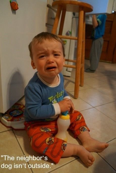 Hilariously Irrational Reasons Toddlers Have Had Crying Fits - Memebase - Funny Memes Reasons Kids Cry, Temper Tantrums Toddler, Crying For No Reason, Tantrum Kids, Magic Beans, Temper Tantrums, Sleep Tips, Cute Funny Babies, White Stuff