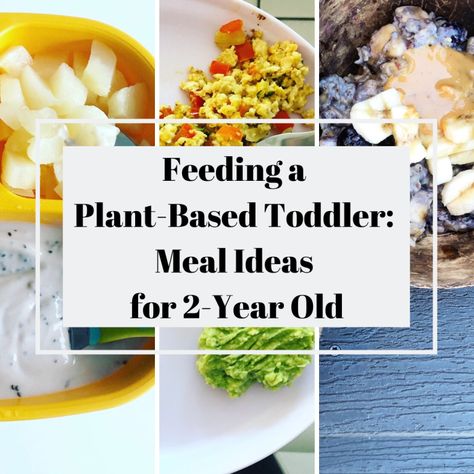 Earth Balance Butter, Lunch And Dinner Ideas, Toddler Meal Ideas, Canned Pears, Vegan Enchiladas, Blueberry Oat, Meal Inspiration, Vegan Kids, Lentil Stew