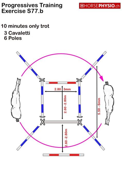 Jump Exercises, Pole Exercises, Horse Jumping Exercises, Riding Ideas, Jumping Exercises, Riding Exercises, Dressage Exercises, Trail Riding Horses, Horse Training Exercises