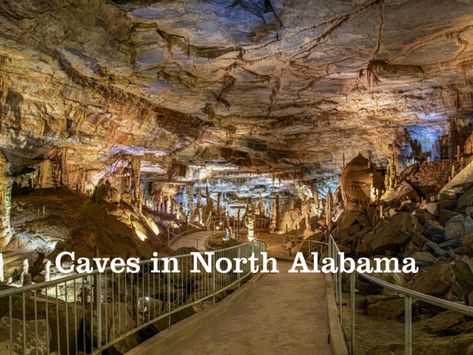 There are 4,014 discovered caves in North Alabama, making North Alabama a caving hotspot. Check out these cool caves! North Alabama Things To Do In, Alabama Vacation, Alabama A, North Alabama, Alabama Travel, Fort Morgan, Huntsville Alabama, Alabama Roll Tide, Caving