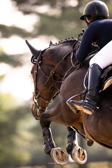 Show Jumping Photography, English Equestrian Aesthetic, Horse Jumping Photography, Showjumping Aesthetic, Dressage Photography, Horseback Riding Outfit, Aesthetic Equestrian, Horses Aesthetic, Riding Outfit Equestrian