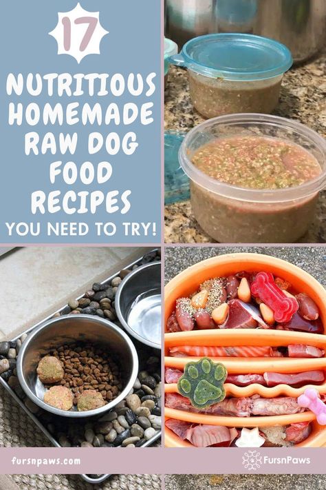 homemade raw dog food recipes Raw Food Diet For Dogs Recipes, Raw Puppy Food Recipes, Dog Raw Food Diet For Beginners, Diy Raw Dog Food, Raw Diet Recipes, Dogs Food Recipes, Homemade Raw Dog Food, Raw Diet For Dogs, Raw Food For Dogs