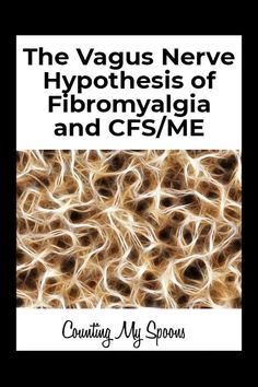 Vagus nerve hypothesis of fibromyalgia and chronic fatigue syndrome #CFSME #Fibromyalgia Nervus Vagus, The Vagus Nerve, Chronic Fatigue Symptoms, Back Pain Remedies, Fatigue Syndrome, Vagus Nerve, Invisible Illness, Good Health Tips, Chronic Fatigue