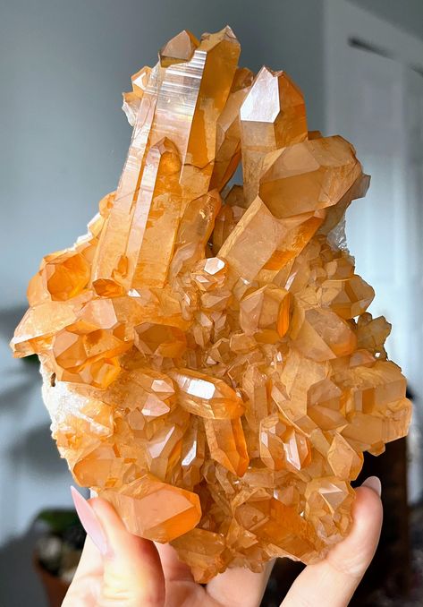 Rare Crystals, Tangerine Quartz, Crystal Garden, Crystal Aesthetic, Coloring Inspiration, Orange Crystals, Rare Crystal, Crystal Collection, Vibrant Orange