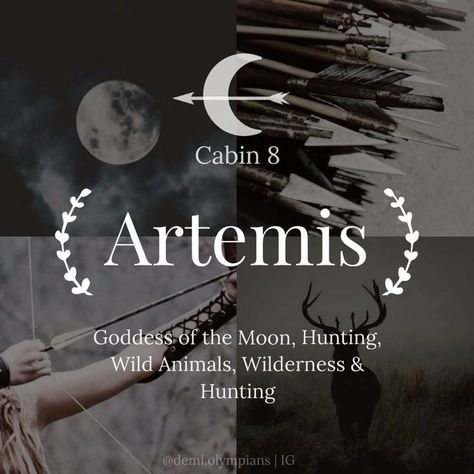 12 Greek Gods And Goddesses, Artemis Cabin Percy Jackson, Greek Gods Artemis, Artemis Cabin Aesthetic, Child Of Artemis Aesthetic, Cabin 8 Artemis Aesthetic, Cabin 8 Aesthetic, 12 Olympians Gods, Artemis Moon Goddess