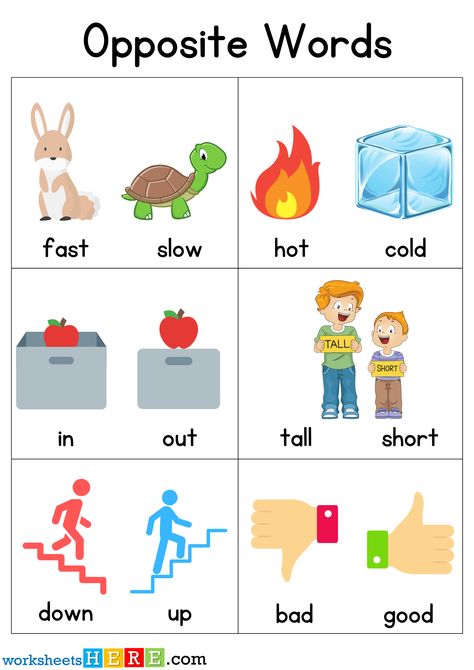 Opposite Words With Pictures, Opposite Words Worksheet, Opposite Worksheet, Word Opposite, Opposite Words For Kids, Opposites For Kids, Opposites Preschool, Opposite Words List, Opposites Worksheet