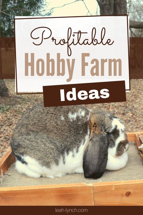 Hobby Farm Ideas, Hobby Farms Layout, Micro Farm, Moderne Pools, Small Backyard Design Ideas, Farm Plans, Homestead Farm, Farm Layout, Backyard Design Ideas Budget