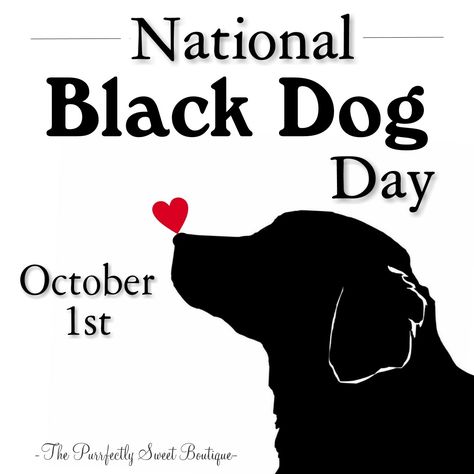 October 1st: National Black Dog Day! #Dogs #NationalBlackDogDay #BlackDogs #BlackDogAppreciation #October Black Dog Day, Black Instagram, National Pet Day, Dog Day, October 1st, Day Quotes, Pet Holiday, Black Dog, Greyhound