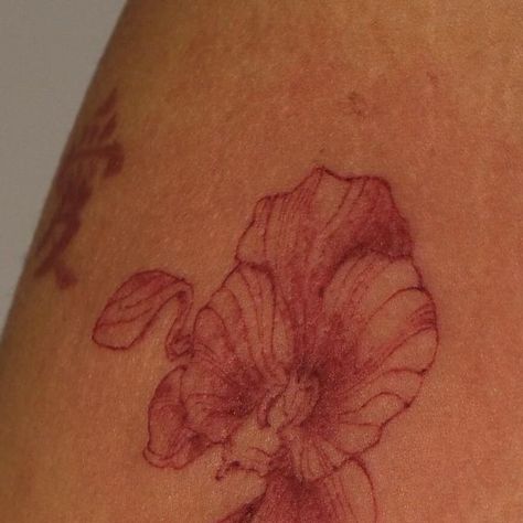 Carley Akahoshi on Instagram: "Red orchid for Alexia ❤️ thank you for your trust!!  Took 1 hour  Done @strawbabyla   Pictured: tattoo of an orchid on the right upper arm done in red ink   #orchidtattoo#redtattoo#redtattoos#floraltattoo#bayareatattoo#sftattooartis#latattooartist" Red Orchid Tattoo, Orchid Tattoos, Red Orchid, Chef Kiss, Orchid Tattoo, Red Orchids, Red Ink Tattoos, Favorite Makeup Products, Upper Arms