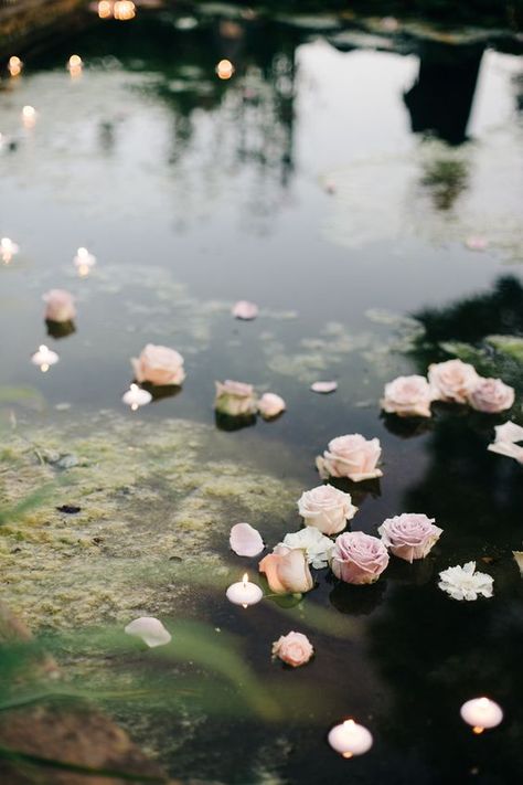 Floating flowers and candles in the pond / Spring Pond Wedding, Spring Feeling, English Garden Wedding, Longwood Gardens, French Wedding, Foto Art, English Garden, Shade Garden, Art Quilts